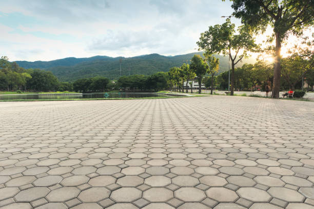 Best Brick Driveway Pavers  in Cienegas Terrace, TX