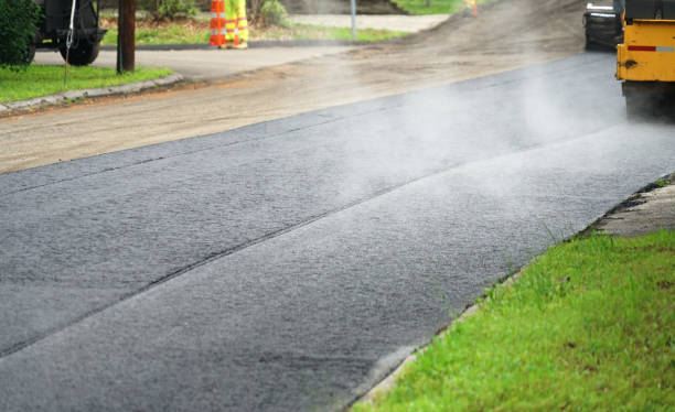 Best Decorative Driveway Pavers  in Cienegas Terrace, TX